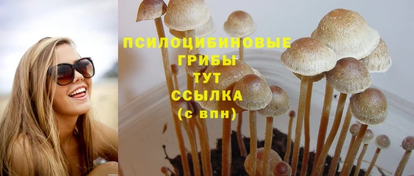 прущие крисы Богданович