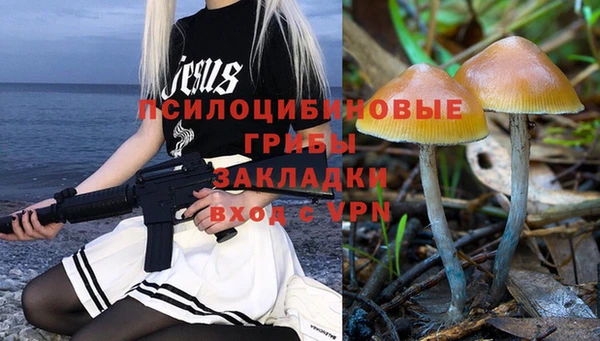 прущие крисы Богданович