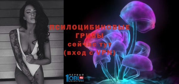 MDMA Premium VHQ Богородицк