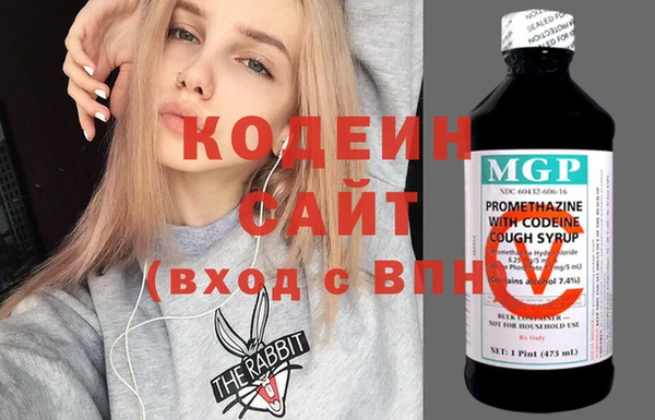 шишки Белокуриха