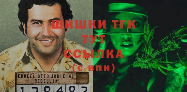 шишки Белокуриха